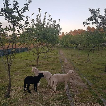 Willa Quinta Da Lage Barcelos Zewnętrze zdjęcie